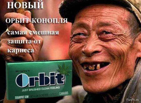  (450x328, 39Kb)