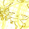  (100x100, 10Kb)