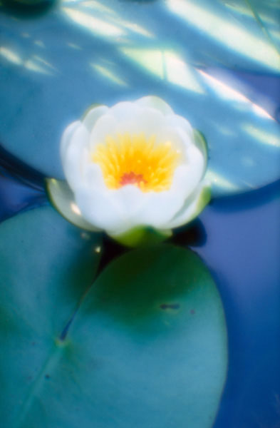  (393x600, 39Kb)