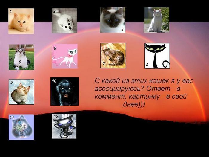  (700x525, 49Kb)