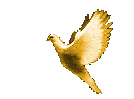  (134x99, 24Kb)