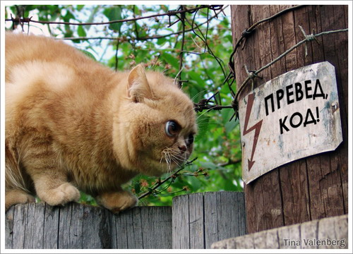 название или описание