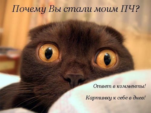  (500x374, 31Kb)