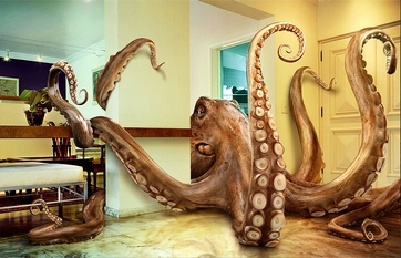 octopus