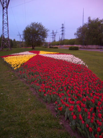  (360x480, 94Kb)