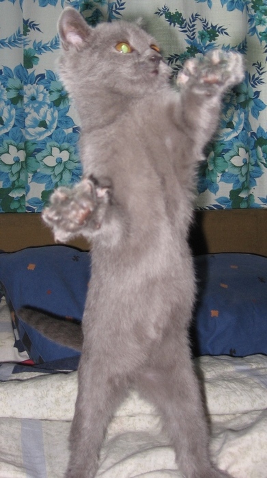 (391x698, 128Kb)