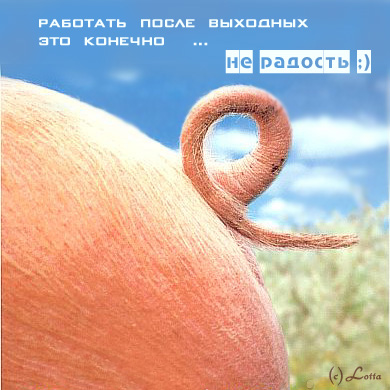  (390x390, 70Kb)