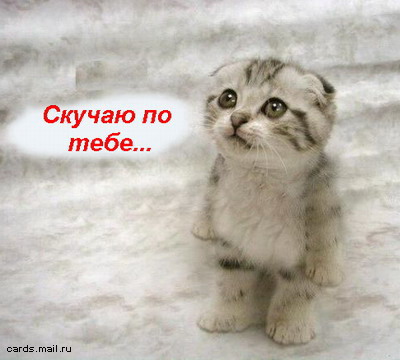 (400x360, 36Kb)