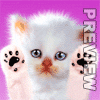  (100x100, 14Kb)