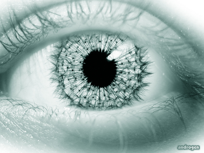  (700x525, 267Kb)