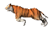  (80x50, 6Kb)