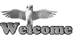  (150x70, 20Kb)