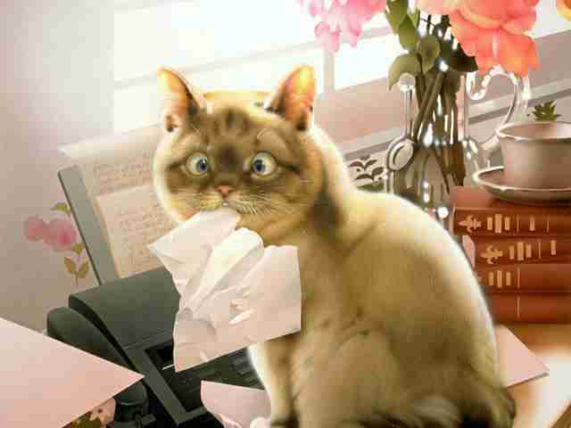  (640x480, 13Kb)
