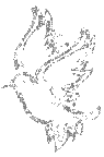  (95x144, 2Kb)