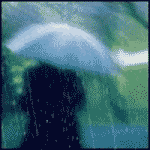  (150x150, 19Kb)