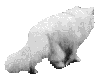  (97x75, 8Kb)