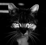  (150x147, 27Kb)