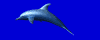  (100x40, 7Kb)
