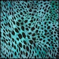  (120x120, 7Kb)