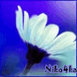  (110x110, 8Kb)