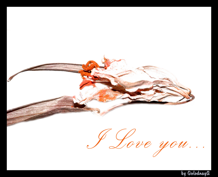  (699x568, 162Kb)