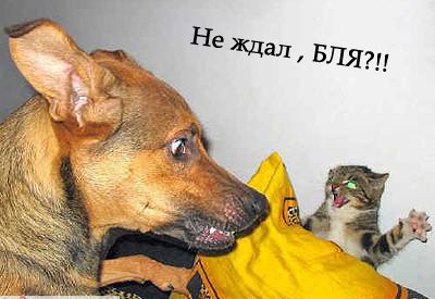  (400x275, 28Kb)