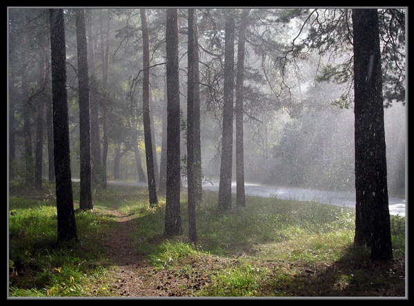  (600x444, 114Kb)