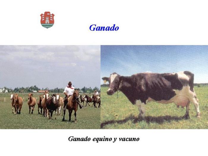  (700x525, 40Kb)