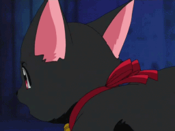  (256x192, 103Kb)