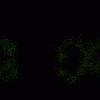  (100x100, 1Kb)