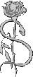  (47x109, 2Kb)