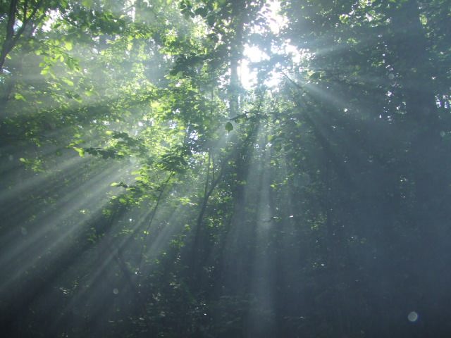  (640x480, 49Kb)