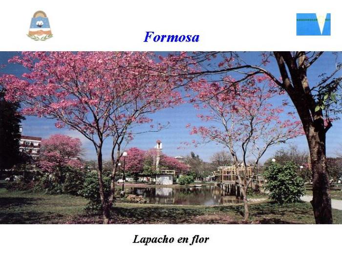  (700x525, 79Kb)