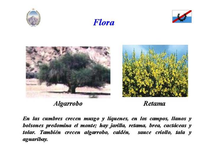  (700x525, 47Kb)