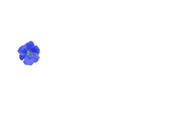  (363x273, 32Kb)