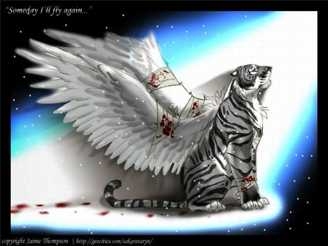  (640x480, 52Kb)