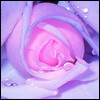  (100x100, 5Kb)