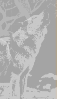  (57x99, 4Kb)