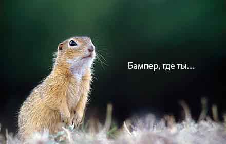  (440x280, 19Kb)