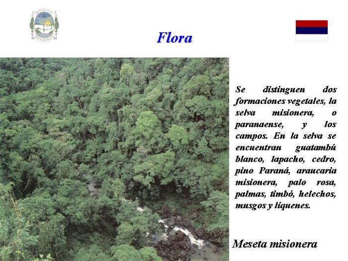  (700x525, 73Kb)