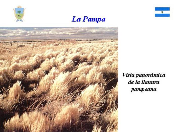  (700x525, 63Kb)