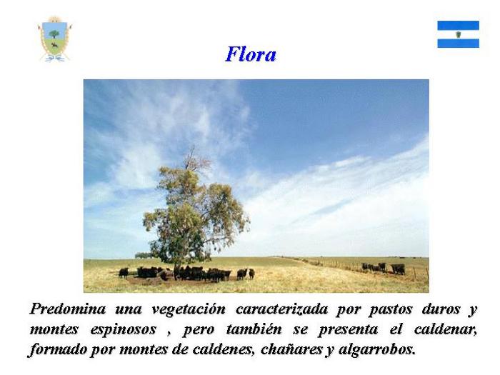  (700x525, 43Kb)