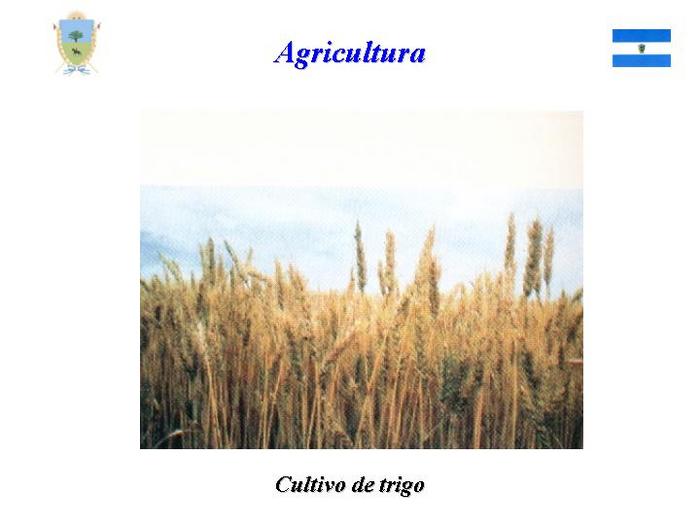  (700x525, 31Kb)