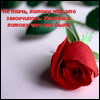  (100x100, 5Kb)