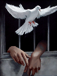  (113x150, 13Kb)