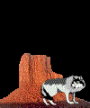  (100x120, 32Kb)