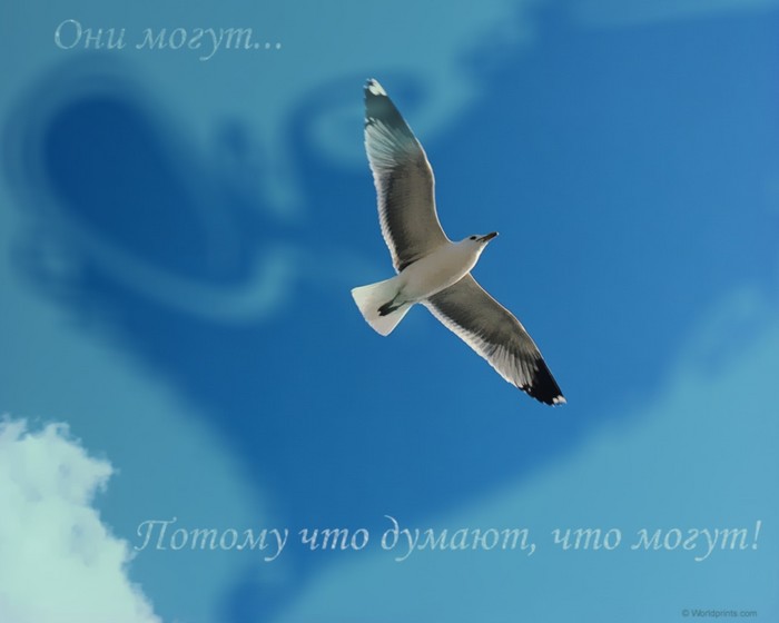  (700x560, 32Kb)