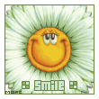  (110x110, 10Kb)