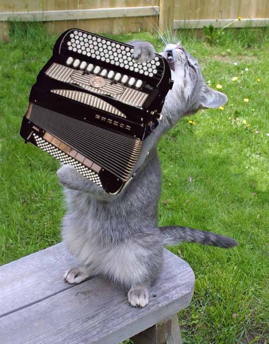  (546x699, 137Kb)