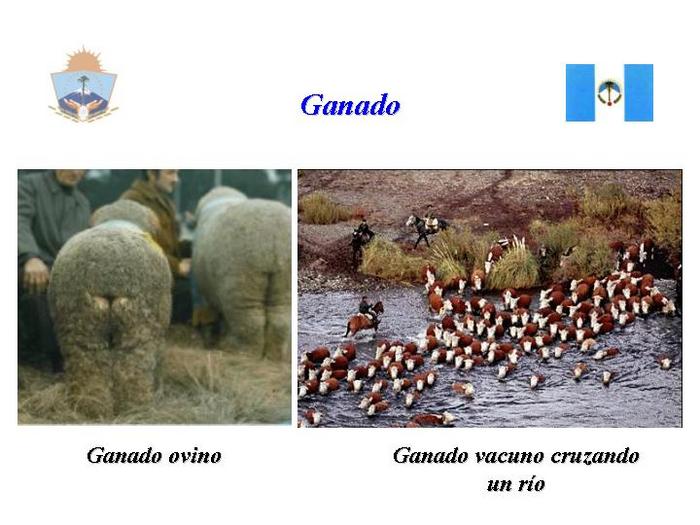  (700x525, 55Kb)